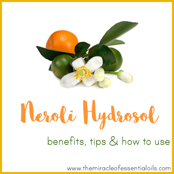 Orange Blossom Hydrosol Benefits, Tips & How to Use