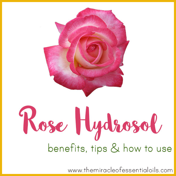 Rose Hydrosol Benefits, Tips & How to Use