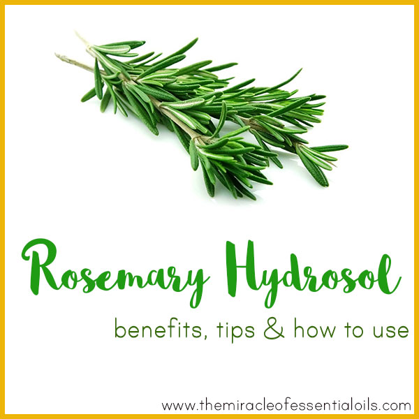 rosemary hydrosol benefits