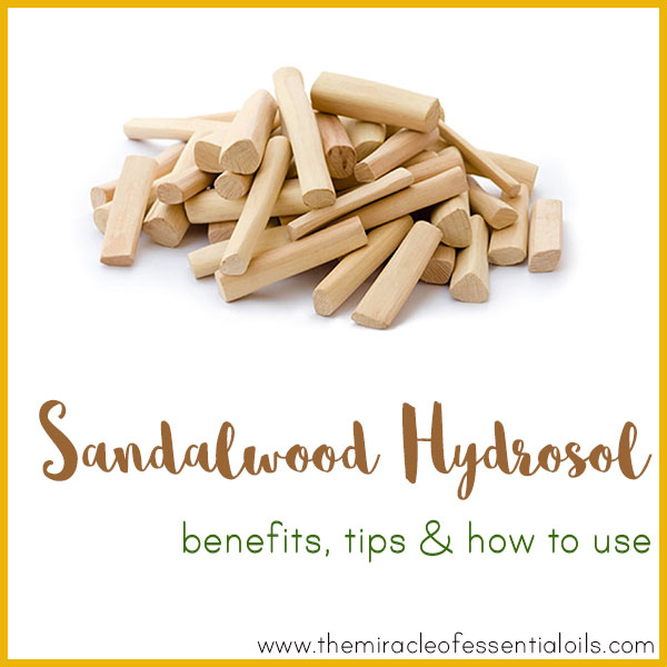 Sandalwood Hydrosol Benefits, Tips & How to Use