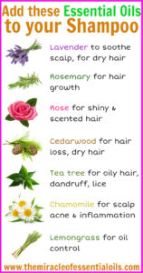 7 Essential Oils to Add to Your Shampoo for Beautiful Hair