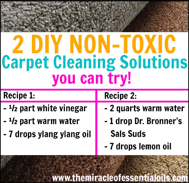 Got carpets in your home full of kids and pets? You need to try these DIY essential oil carpet cleane recipes! They are all natural, non-toxic and work effectively!