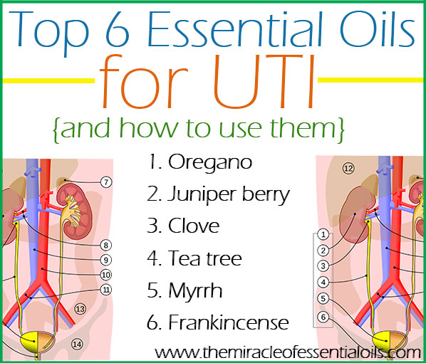 Try using the best essential oils for UTI if you suffer from this problem too frequently! 
