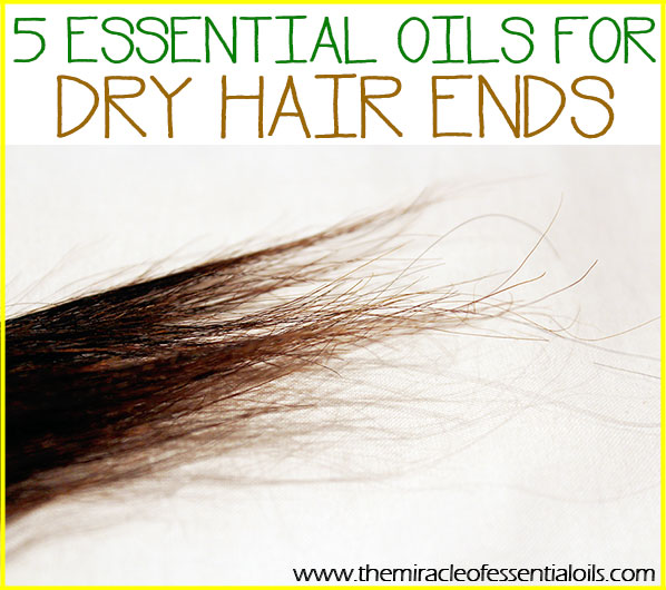 5 Essential Oils for Dry Hair Ends