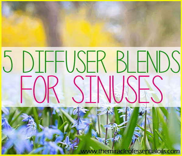 5 Essential Oil Diffuser Blends for Sinus Infection