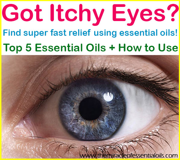 Top 5 Essential Oils for Itchy Eyes The Miracle of Essential Oils
