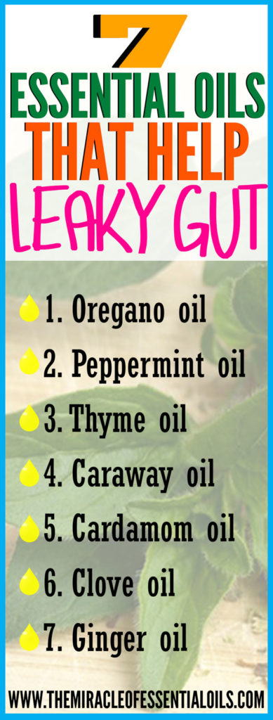 Leaky gut syndrome has been linked to a number of diseases and health conditions by many nutritionists and naturopathic doctors. Using essential oils for leaky gut syndrome acts as a tool to support you in your gut healing journey for improved health and body function!