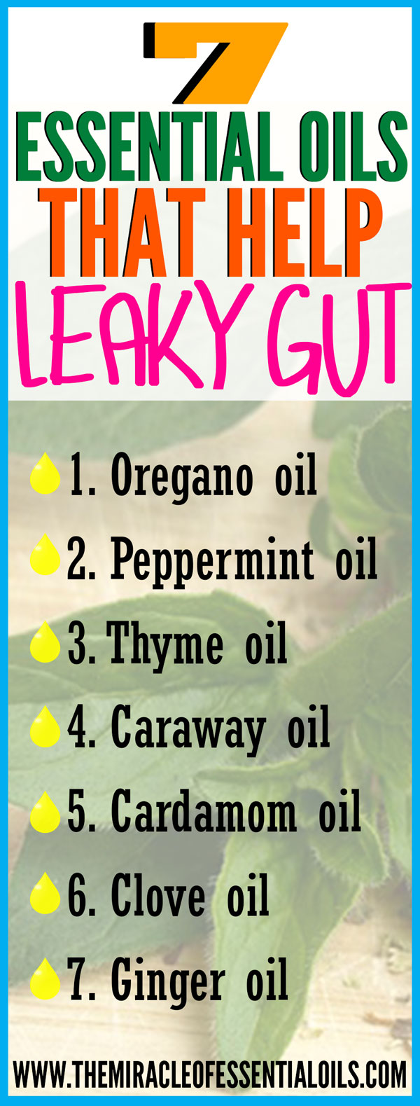 7 Essential Oils for Leaky Gut Syndrome & Recipes