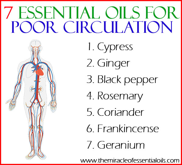 Support your circulatory system and promote proper blood flow by using these essential oils for poor circulation. 