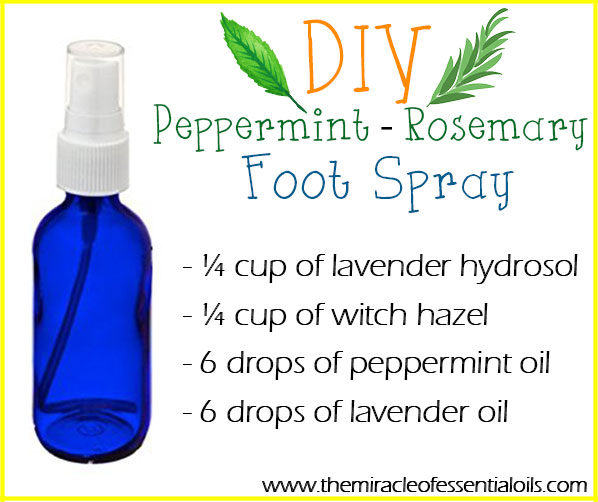 Learn how to make peppermint rosemary foot spray to fight stinky feet and bad bacteria!