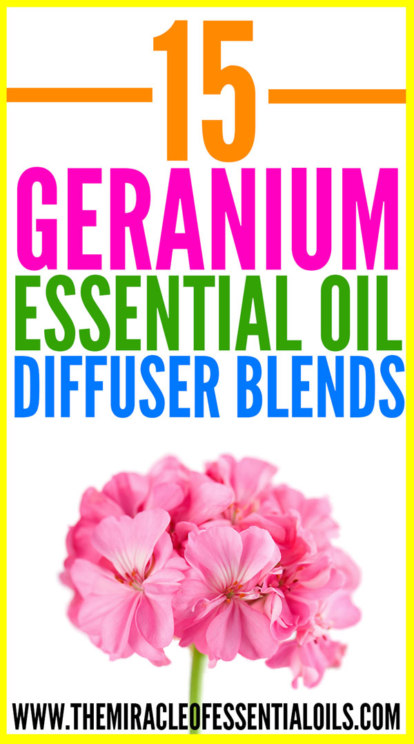 15 Best Geranium Essential Oil Diffuser Blends