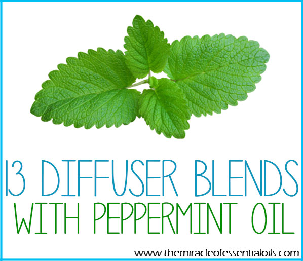 15 Best Peppermint Essential Oil Diffuser Blends