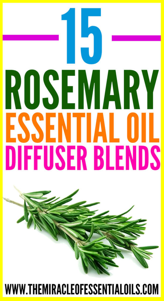 Enjoy 15 best rosemary essential oil diffuser blends for a sharp and healthy mind plus much more!