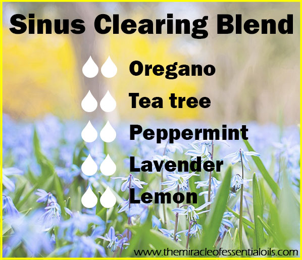 5 Essential Oil Diffuser Blends for Sinus Infection The Miracle of