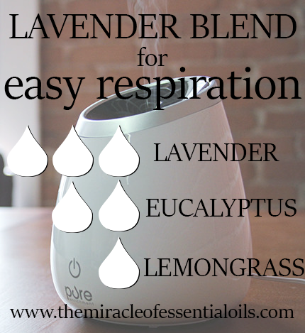 lavender essential oil diffuser blends - easy respiration