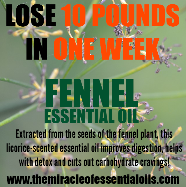 fennel essential oil for weight loss