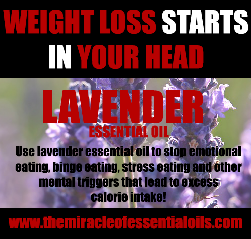 lavender essential oil for weight loss