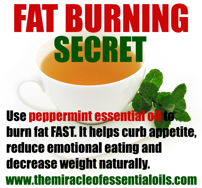 peppermint essential oil for weight loss