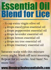 Potent Essential Oil Blend for Head Lice