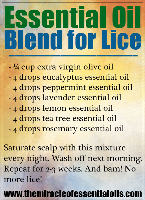 Potent Essential Oil Blend for Head Lice