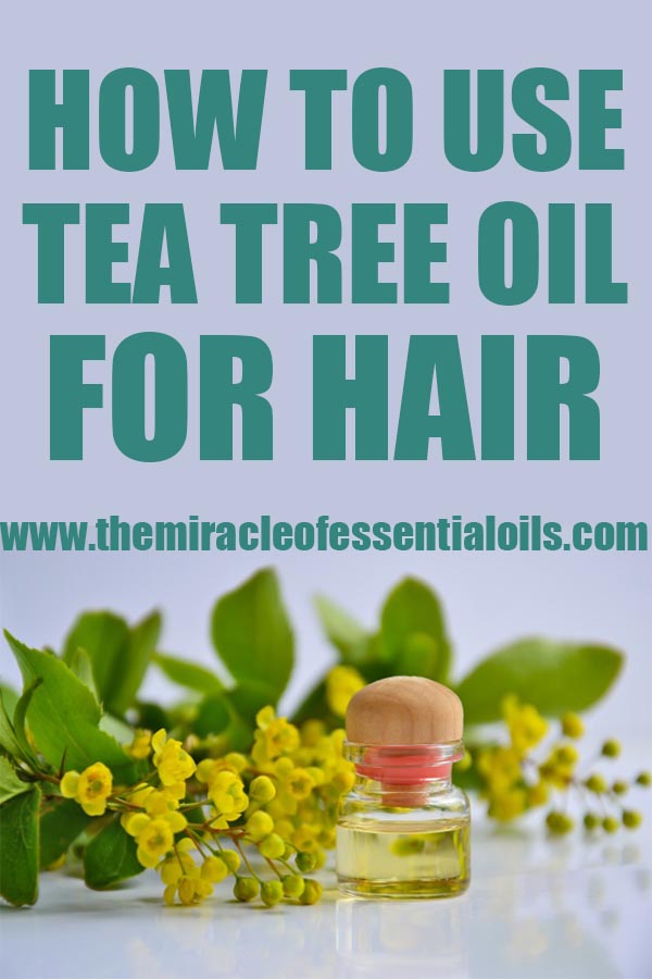 can you leave tea tree oil on your hair overnight