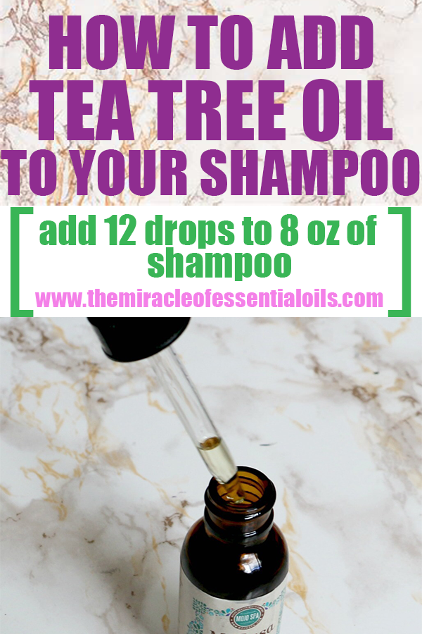 how many drops of tea tree oil to add to shampoo