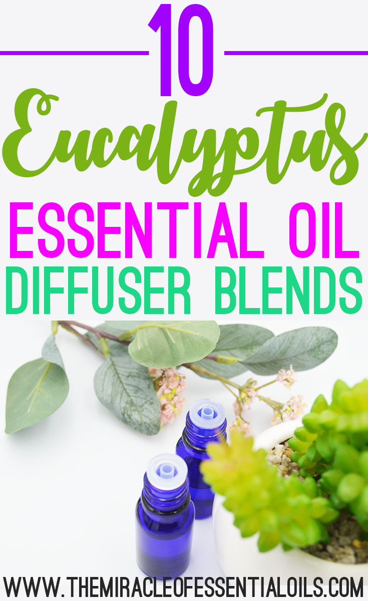 eucalyptus essential oil diffuser blends